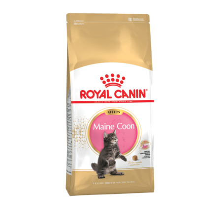 Royal Canin Maine Coon Kitten Сухой корм для котят породы Мейн-кун – интернет-магазин Ле’Муррр